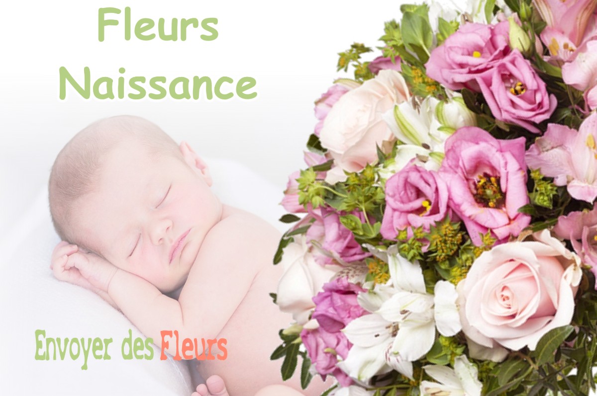 lIVRAISON FLEURS NAISSANCE à MONGET